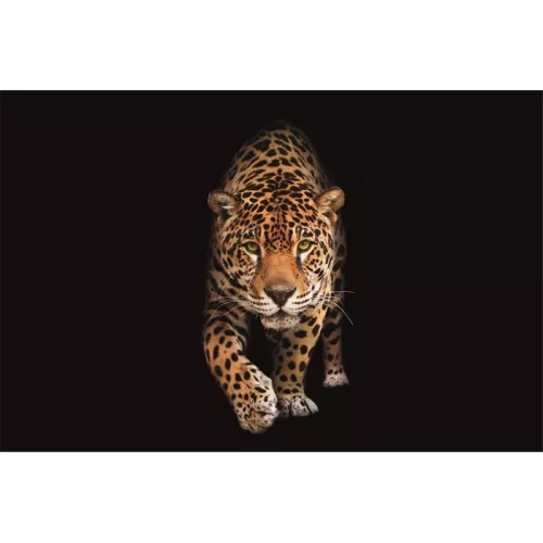 Spotted wild cat - Panther 300x200x2cm matt