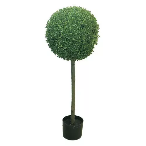 Box Princeville Topiary W/Pot 38 -20x60cm