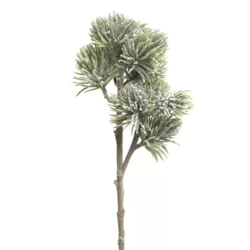 Pinus Spray Mugo flocked 58cm