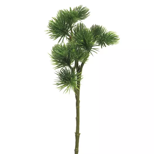 Pinus Spray Mugo Green 58cm