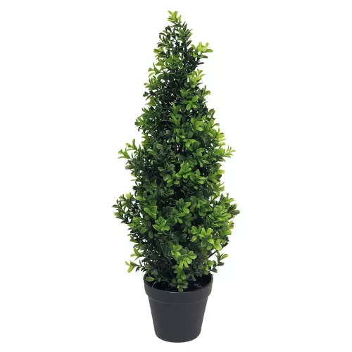 Boxwood Orion tapered green 15x15x60cm
