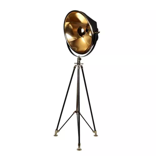 Montezuma gold and black studio floor lamp