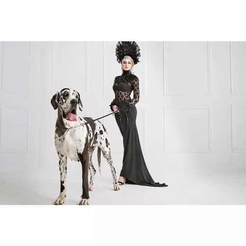 Fashion Young Woman & Big Dog 180x120x2cm