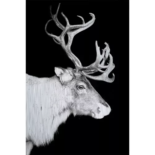 Reindeer Alubrush 120x180x2cm