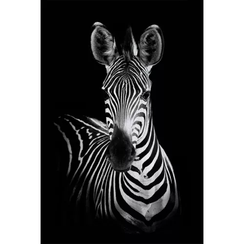 120x180x2cm Alubrush Zebra