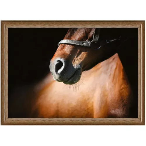 Brown horse 3 80x60x3cm