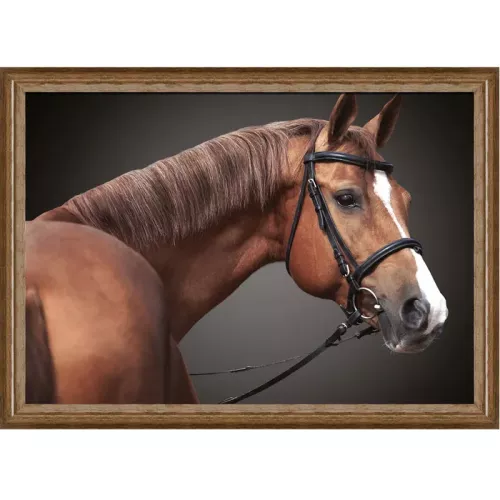 Brown horse 2 80x60x3cm