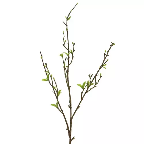 Sping Twig Green 12x4x101cm