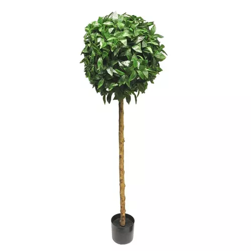 Laurus Nobilis Ball On Stem Green 45x45x150cm