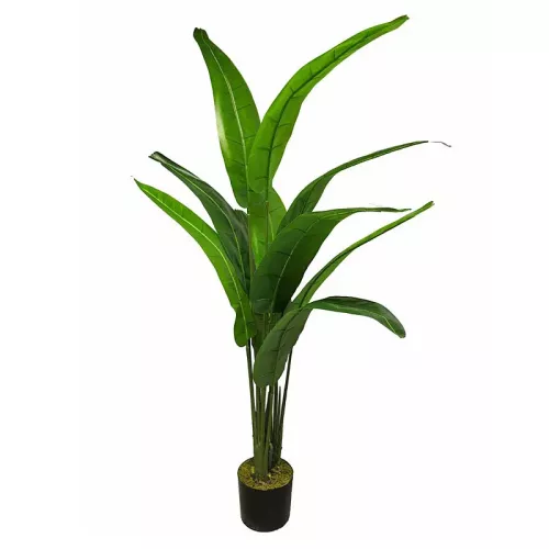 Heliconia Rostrata 170x50x50cm