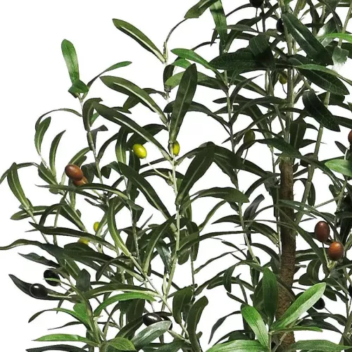 Payaa Olive Tree Charlotte 150x40x20cm (110536)
