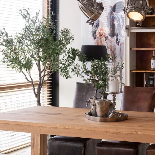 Payaa Olive Tree 70x50x40cm (110529)