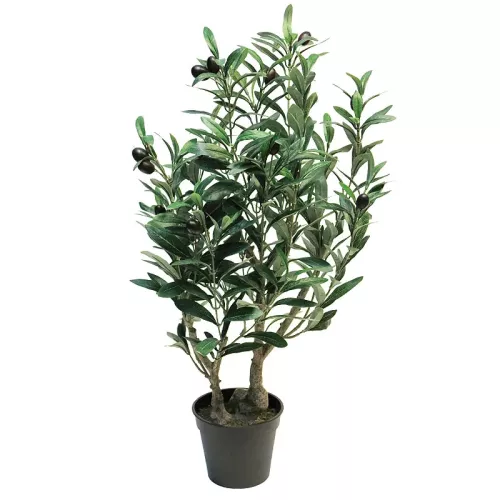 Olive Tree 70x50x40cm