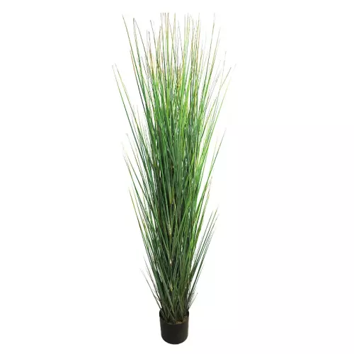 Grass Dori 165x40x30cm