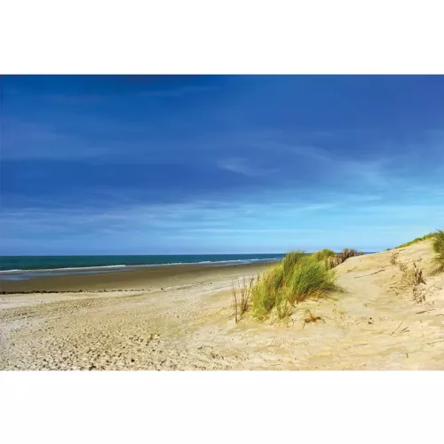 Empty beach at Ameland 180x120x2cm