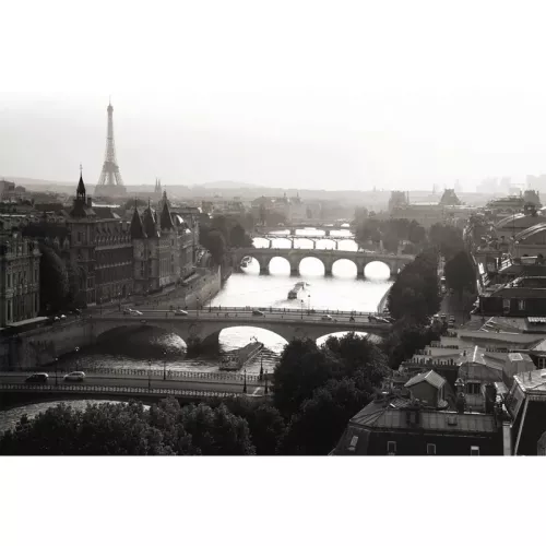 Bridges over the Seine 180x120x2cm